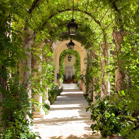 Meet your Posher, Bethany - Picture 1 of 1